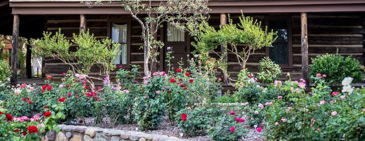 Hummingbirds: Create a Garden Oasis